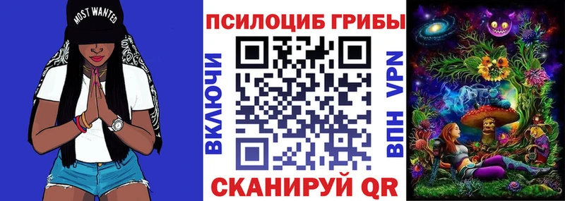 Галлюциногенные грибы Psilocybe  ОМГ ОМГ tor  Галич 